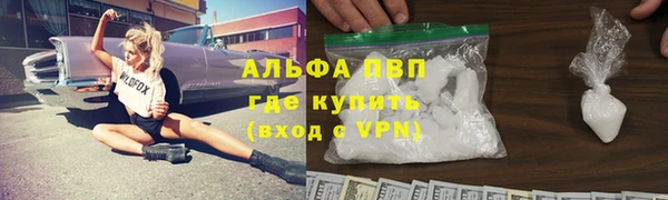 индика Ростов