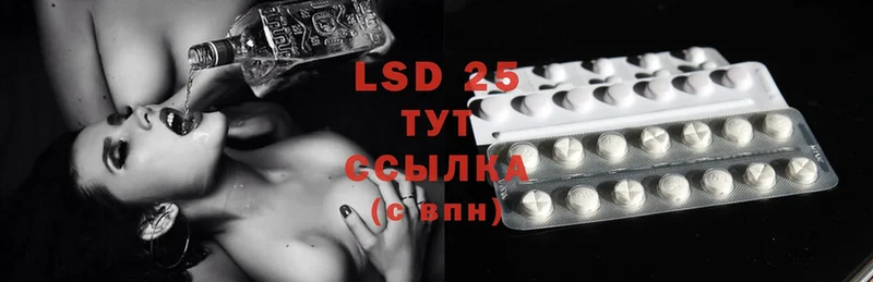 как найти наркотики  Кингисепп  LSD-25 экстази ecstasy 